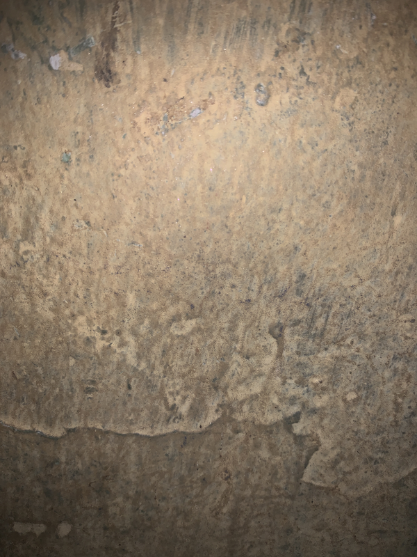 Twin-Wing Apartment – 4 Single Rooms Per Wing